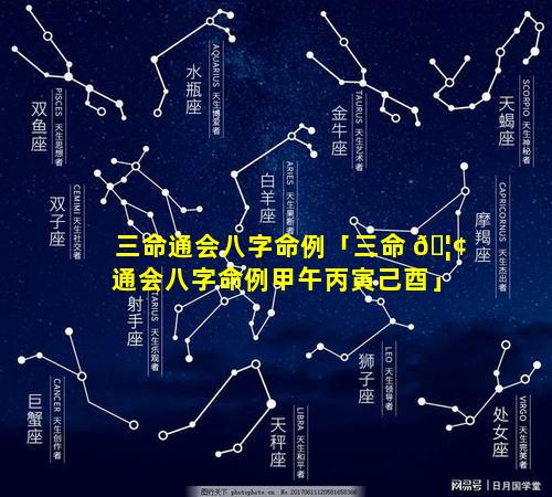 三命通会八字命例「三命 🦢 通会八字命例甲午丙寅己酉」